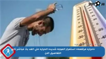 «حرارة مرتفعة» استمرار الموجة شديدة الحرارة حتى الغد بث مباشر تابع التفاصيل الآن